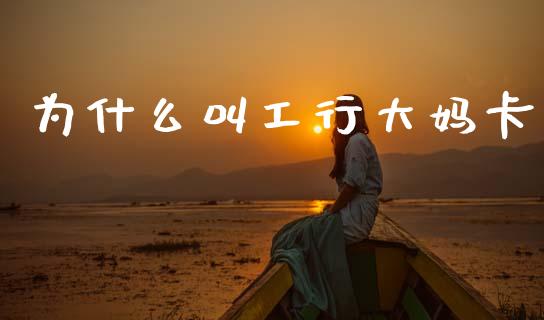 为什么叫工行大妈卡_https://wap.sdxiaoxijinshu.com_理财_第1张