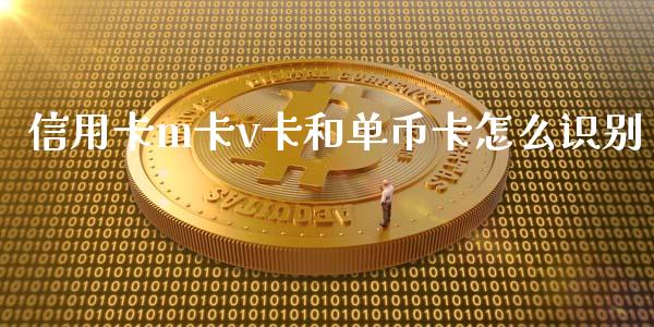 信用卡m卡v卡和单币卡怎么识别_https://wap.sdxiaoxijinshu.com_金融_第1张