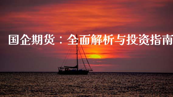 国企期货：全面解析与投资指南_https://wap.sdxiaoxijinshu.com_理财_第1张