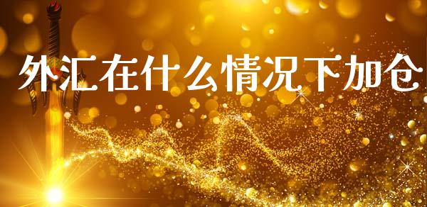 外汇在什么情况下加仓_https://wap.sdxiaoxijinshu.com_财经_第1张