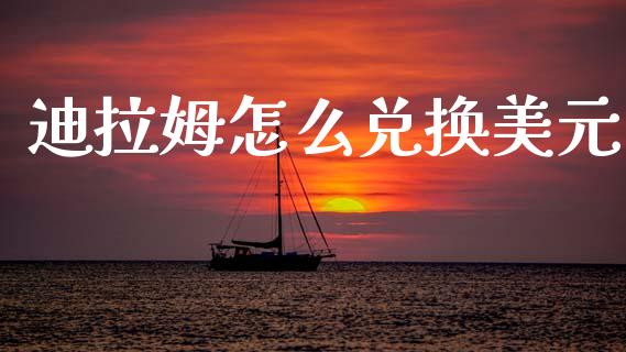迪拉姆怎么兑换美元_https://wap.sdxiaoxijinshu.com_财经_第1张