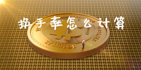 换手率怎么计算_https://wap.sdxiaoxijinshu.com_理财_第1张