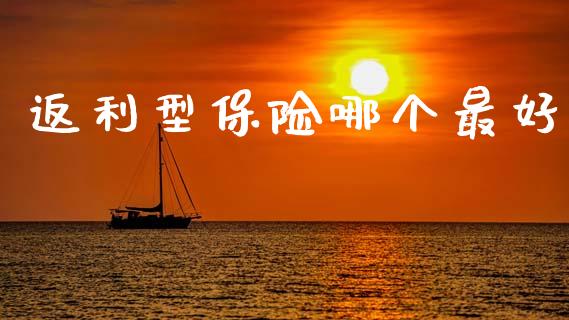 返利型保险哪个最好_https://wap.sdxiaoxijinshu.com_理财_第1张