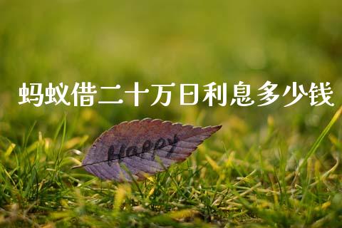 蚂蚁借二十万日利息多少钱_https://wap.sdxiaoxijinshu.com_理财_第1张