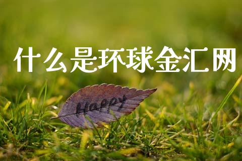 什么是环球金汇网_https://wap.sdxiaoxijinshu.com_财经_第1张