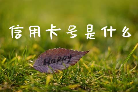 信用卡号是什么_https://wap.sdxiaoxijinshu.com_金融_第1张