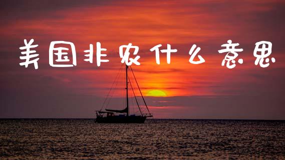 美国非农什么意思_https://wap.sdxiaoxijinshu.com_财经_第1张