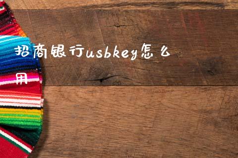 招商银行usbkey怎么用_https://wap.sdxiaoxijinshu.com_金融_第1张