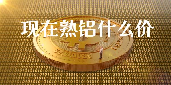 现在熟铝什么价_https://wap.sdxiaoxijinshu.com_期货_第1张