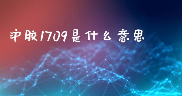沪胶1709是什么意思_https://wap.sdxiaoxijinshu.com_期货_第1张