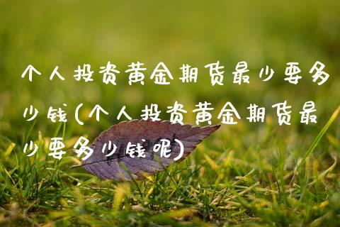 个人投资黄金期货最少要多少钱(个人投资黄金期货最少要多少钱呢)_https://wap.sdxiaoxijinshu.com_财经_第1张