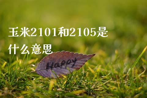 玉米2101和2105是什么意思_https://wap.sdxiaoxijinshu.com_期货_第1张