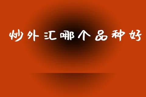 炒外汇哪个品种好_https://wap.sdxiaoxijinshu.com_财经_第1张