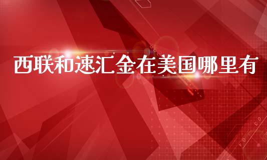 西联和速汇金在美国哪里有_https://wap.sdxiaoxijinshu.com_金融_第1张