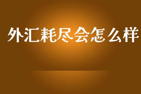 外汇耗尽会怎么样_https://wap.sdxiaoxijinshu.com_金融_第1张