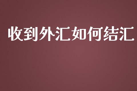 收到外汇如何结汇_https://wap.sdxiaoxijinshu.com_财经_第1张