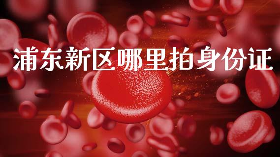 浦东新区哪里拍身份证_https://wap.sdxiaoxijinshu.com_理财_第1张