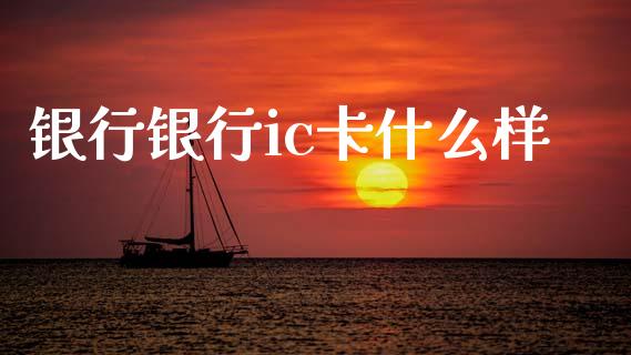 银行银行ic卡什么样_https://wap.sdxiaoxijinshu.com_金融_第1张