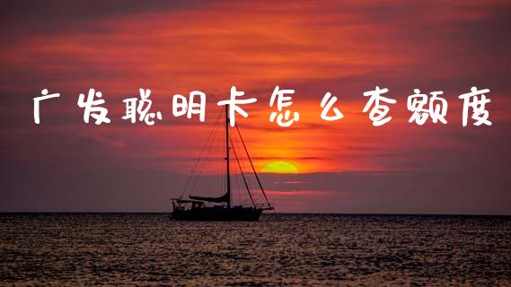 广发聪明卡怎么查额度_https://wap.sdxiaoxijinshu.com_金融_第1张