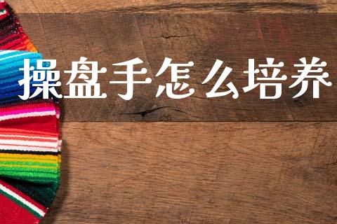 操盘手怎么培养_https://wap.sdxiaoxijinshu.com_期货_第1张