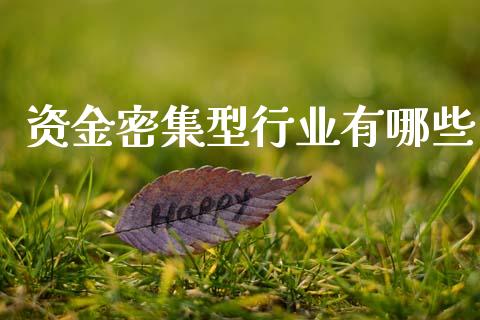 资金密集型行业有哪些_https://wap.sdxiaoxijinshu.com_理财_第1张