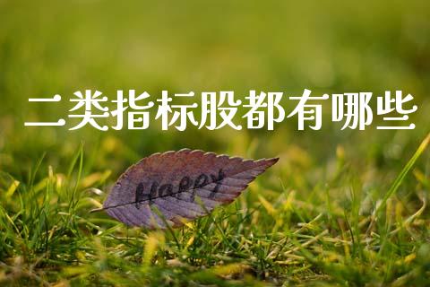 二类指标股都有哪些_https://wap.sdxiaoxijinshu.com_理财_第1张