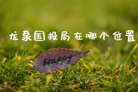 龙泉国投局在哪个位置_https://wap.sdxiaoxijinshu.com_财经_第1张