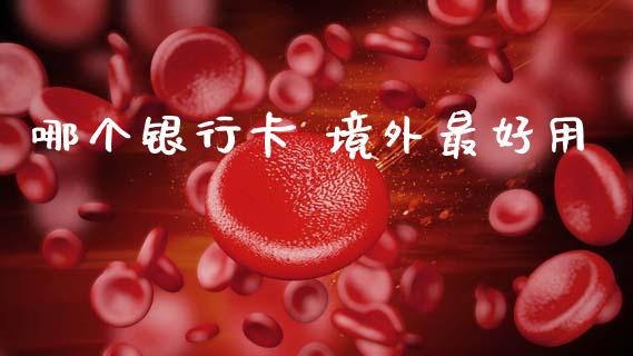哪个银行卡 境外最好用_https://wap.sdxiaoxijinshu.com_理财_第1张