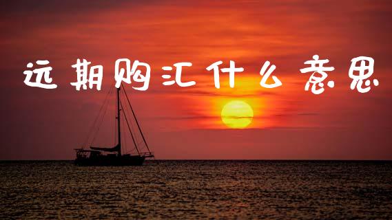 远期购汇什么意思_https://wap.sdxiaoxijinshu.com_财经_第1张