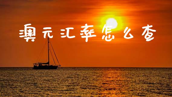 澳元汇率怎么查_https://wap.sdxiaoxijinshu.com_期货_第1张