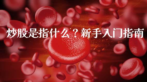 炒股是指什么？新手入门指南_https://wap.sdxiaoxijinshu.com_期货_第1张
