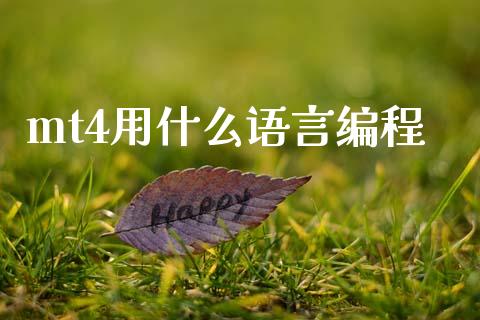 mt4用什么语言编程_https://wap.sdxiaoxijinshu.com_财经_第1张