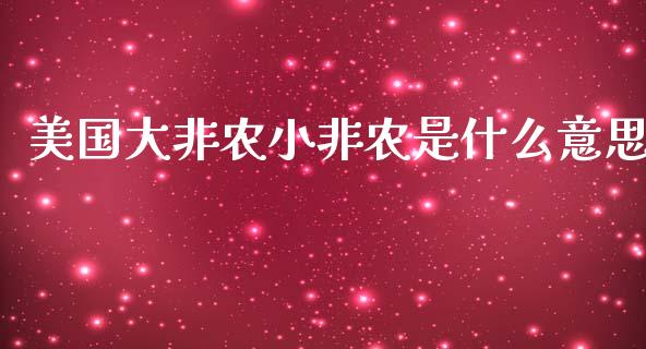 美国大非农小非农是什么意思_https://wap.sdxiaoxijinshu.com_财经_第1张