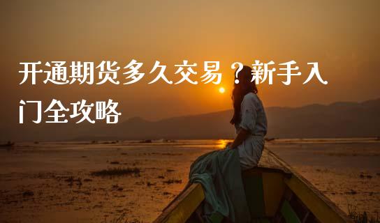 开通期货多久交易？新手入门全攻略_https://wap.sdxiaoxijinshu.com_金融_第1张