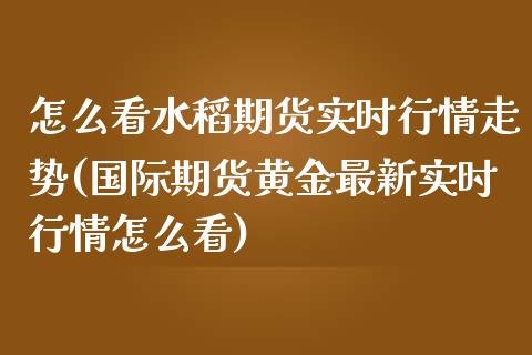 怎么看水稻期货实时行情走势(国际期货黄金最新实时行情怎么看)_https://wap.sdxiaoxijinshu.com_期货_第1张