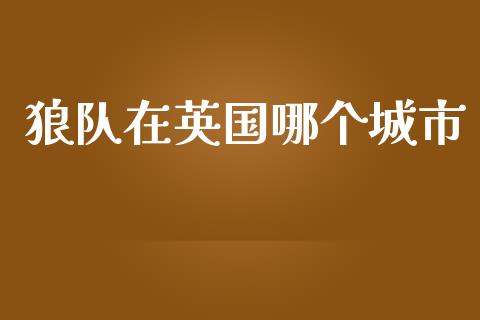 狼队在英国哪个城市_https://wap.sdxiaoxijinshu.com_金融_第1张
