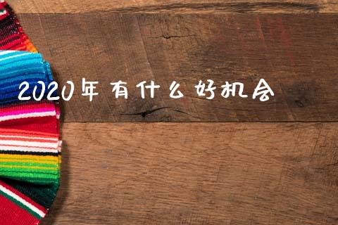 2020年有什么好机会_https://wap.sdxiaoxijinshu.com_期货_第1张