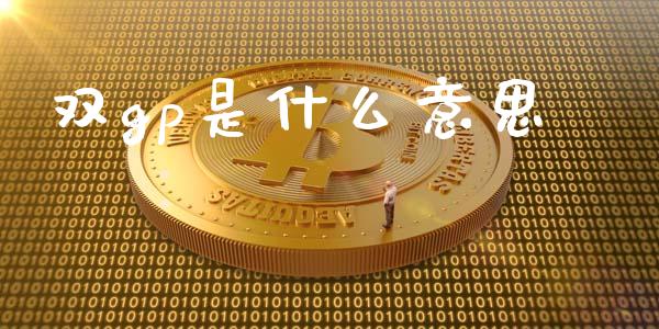 双gp是什么意思_https://wap.sdxiaoxijinshu.com_期货_第1张