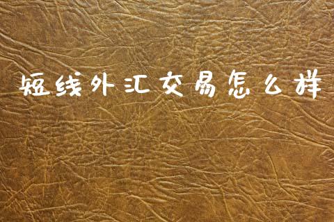 短线外汇交易怎么样_https://wap.sdxiaoxijinshu.com_财经_第1张