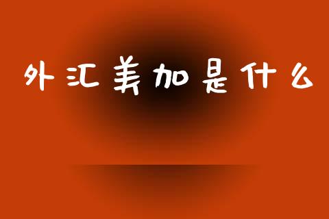 外汇美加是什么_https://wap.sdxiaoxijinshu.com_财经_第1张