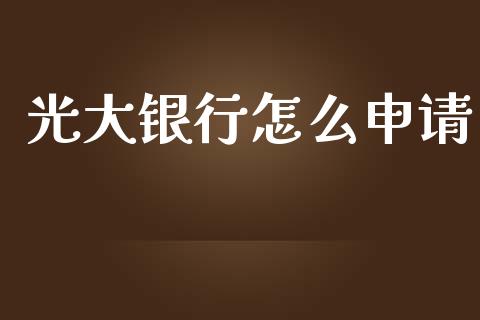 光大银行怎么申请_https://wap.sdxiaoxijinshu.com_金融_第1张