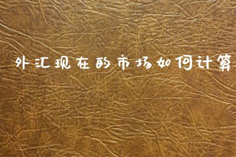 外汇现在的市场如何计算_https://wap.sdxiaoxijinshu.com_期货_第1张