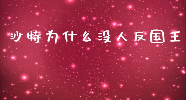 沙特为什么没人反国王_https://wap.sdxiaoxijinshu.com_期货_第1张