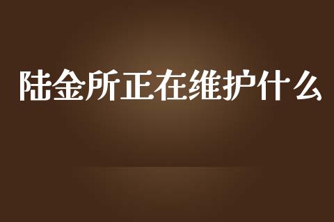 陆金所正在维护什么_https://wap.sdxiaoxijinshu.com_理财_第1张