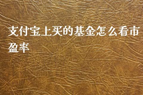 支付宝上买的基金怎么看市盈率_https://wap.sdxiaoxijinshu.com_金融_第1张