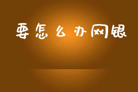 要怎么办网银_https://wap.sdxiaoxijinshu.com_金融_第1张