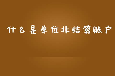 什么是单位非结算账户_https://wap.sdxiaoxijinshu.com_金融_第1张