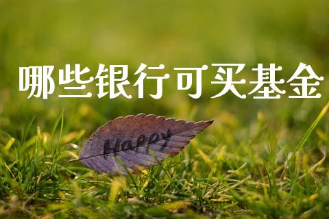 哪些银行可买基金_https://wap.sdxiaoxijinshu.com_理财_第1张