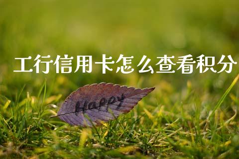 工行信用卡怎么查看积分_https://wap.sdxiaoxijinshu.com_金融_第1张