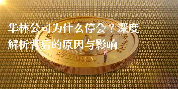 华林公司为什么停会？深度解析背后的原因与影响_https://wap.sdxiaoxijinshu.com_理财_第1张